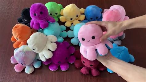 octopus lover tiktok|octopus eggs tiktok.